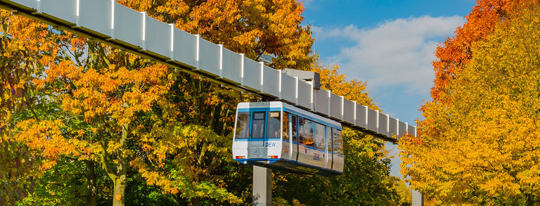 H-Bahn und Bäume mit bunten Blättern im Herbst